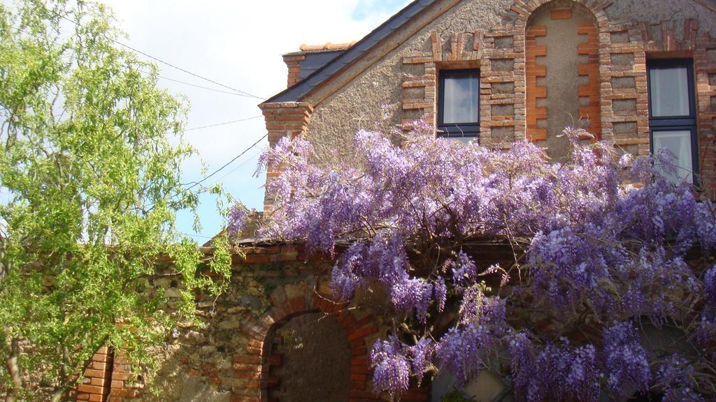 Chambres D'Hotes Le Clos Des 3 Rois Thouarcé Dış mekan fotoğraf